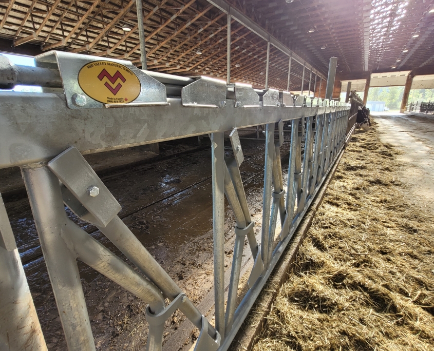 Close up view of dairy barn cow stanchions