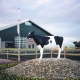 Schep Holsteins Netherland's front view