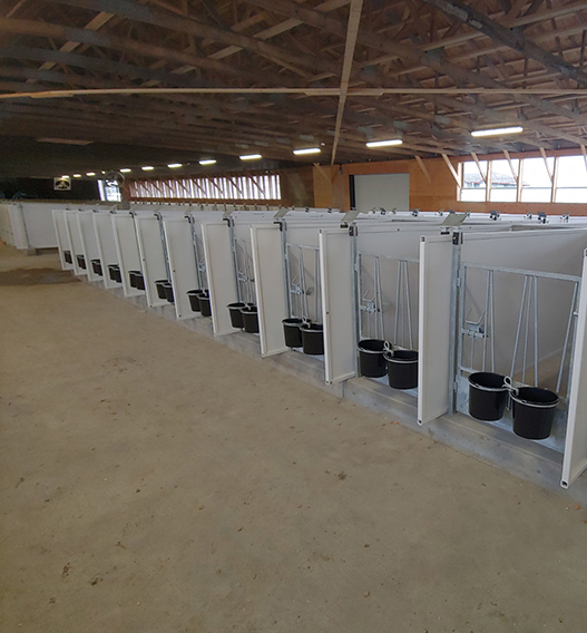 Newly installed Dairy calf housing by Mid Valley Mfg.