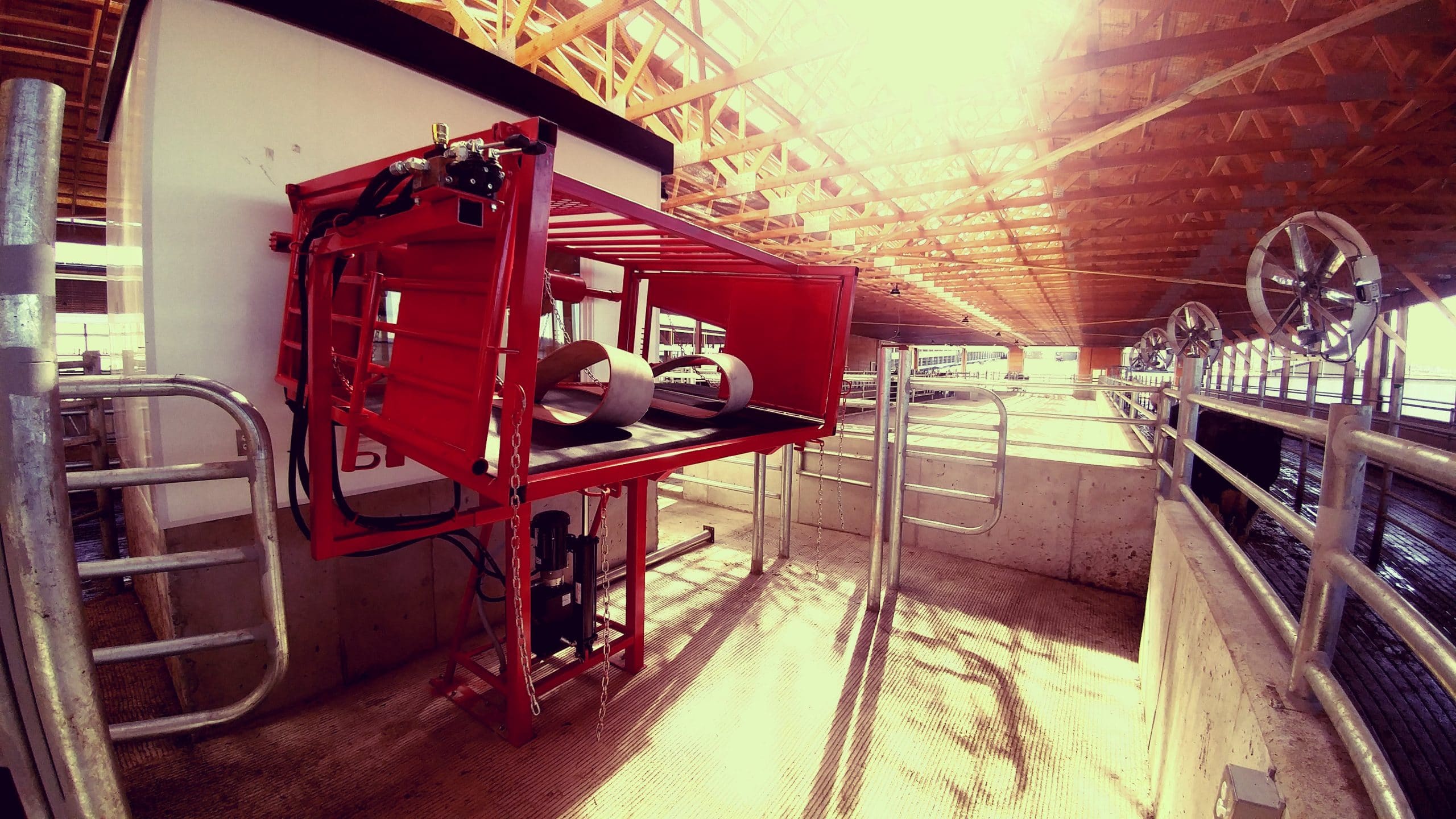 Side view of new hoof trimming chute equipment