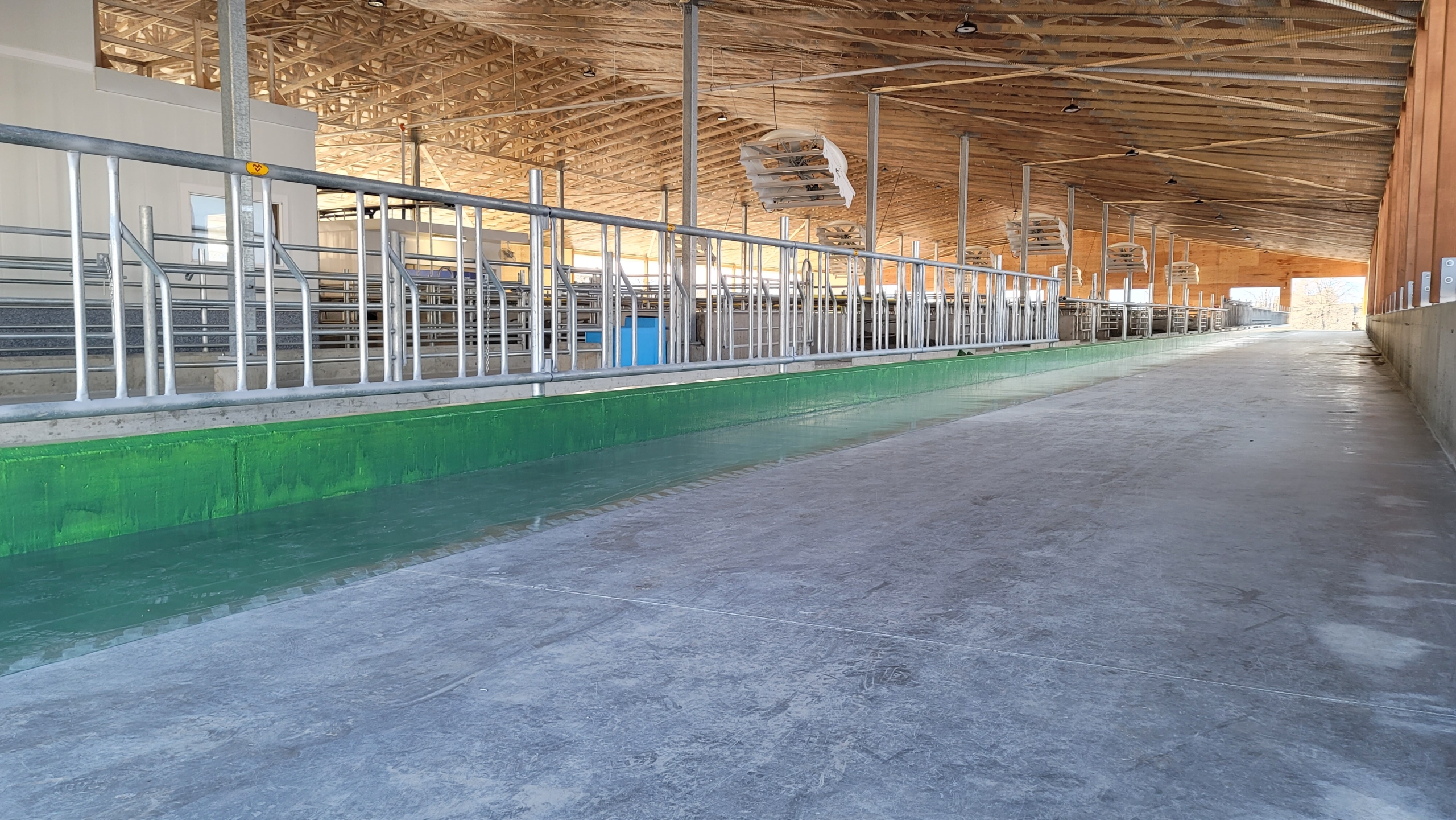 Inside view of a very long dairy barn.