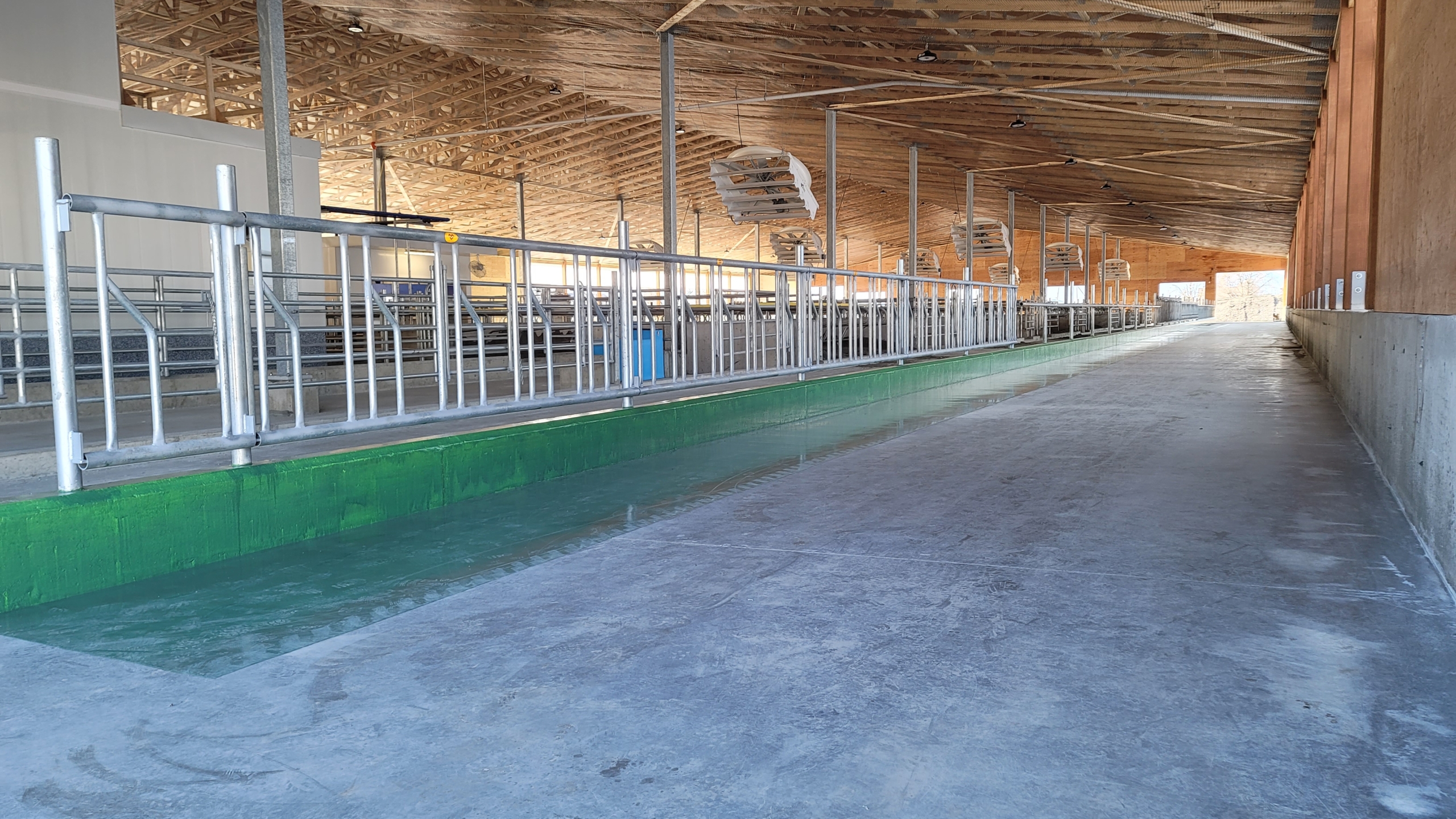 The clean floor of a dairy barn.